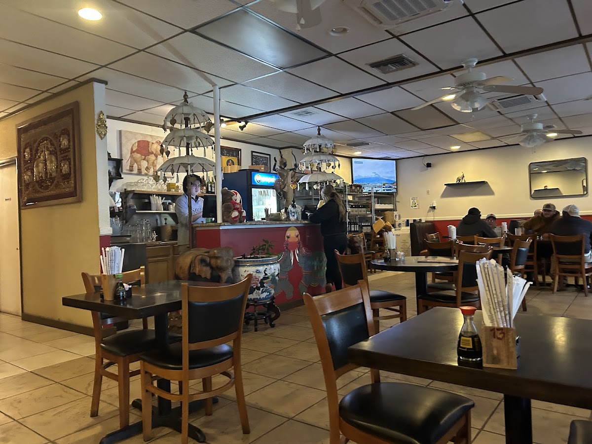 Thai Elephant Authentic Thai Cuisine